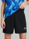 Детская футбольная форма FN Maple Kid (Blue/Black)