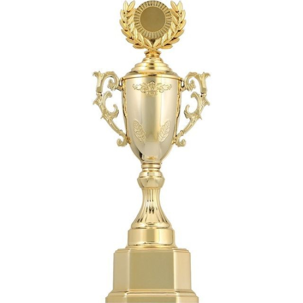 Кубок 122C, зол., подставка пластик, 33,5 × 14 × 9 см