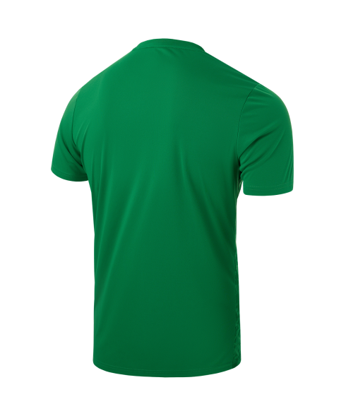 Футболка вратарская JOGEL DIVISION PerFormDRY SPLASH GK Jersey, зеленый, детский