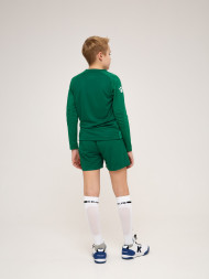 Детский комплект (лонгслив, шорты) KELME Long Sleeve Goalkeeper Suit Green