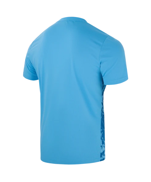Футболка вратарская JOGEL DIVISION PerFormDRY SPLASH GK Jersey, голубой, детский
