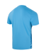 Футболка вратарская JOGEL DIVISION PerFormDRY SPLASH GK Jersey, голубой, детский