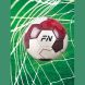 Футбольный мяч FN Football Ball, машинная сшивка + термосклейка - 5
