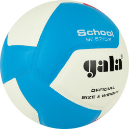 Мяч волейбольный GALA School 12, BV5715S, р. 5