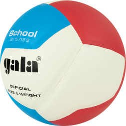 Мяч волейбольный GALA School 12, BV5715S, р. 5