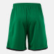 БАСКЕТБОЛЬНЫЕ ШОРТЫ PHOENIX III ЗЕЛЕНЫЙ ЧЕРНЫЙ