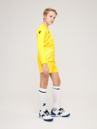Детский комплект (лонгслив, шорты) KELME Long Sleeve Goalkeeper Suit Yellow