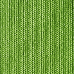 Коврик для йоги TORRES Optima 6 YL10036, толщина 6 мм, ПВХ, зеленый