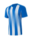 Футболка игровая JOGEL CAMP Striped Jersey, синий/белый