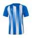 Футболка игровая JOGEL CAMP Striped Jersey, синий/белый, детский
