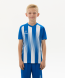 Футболка игровая JOGEL CAMP Striped Jersey, синий/белый, детский