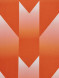 Футбольная форма FN Maple (Orange/Black)