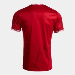 Игровая футболка JOMA GOLD VII  