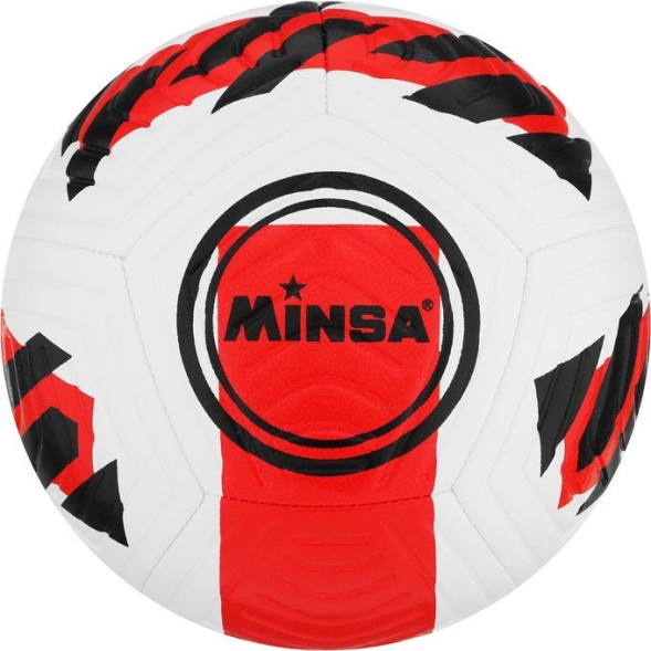 Мяч футбольный MINSA, TPE, машинная сшивка, 12 панелей, р. 5
