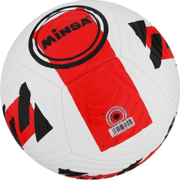 Мяч футбольный MINSA, TPE, машинная сшивка, 12 панелей, р. 5