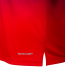 Футболка тренировочная JOGEL NATIONAL PerFormDRY Pre-Match Tee, сине-красный