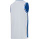 Майка двухсторонняя JÖGEL DIVISION PerFormDRY Double-Side Jersey, синий/белый
