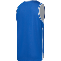 Майка двухсторонняя JOGEL DIVISION PerFormDRY Double-Side Jersey, синий/белый