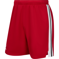 Шорты баскетбольные JÖGEL DIVISION PerFormDRY Shorts R2, красный