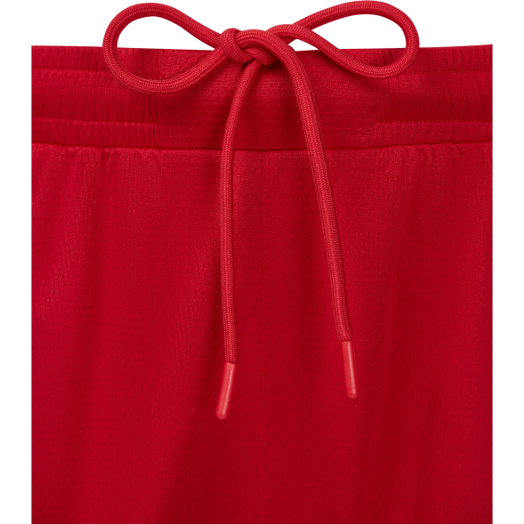 Шорты баскетбольные JÖGEL DIVISION PerFormDRY Shorts R2, красный