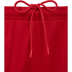 Шорты баскетбольные JOGEL DIVISION PerFormDRY Shorts R2, красный