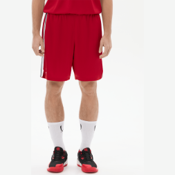 Шорты баскетбольные JOGEL DIVISION PerFormDRY Shorts R2, красный