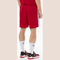 Шорты баскетбольные JOGEL DIVISION PerFormDRY Shorts R2, красный