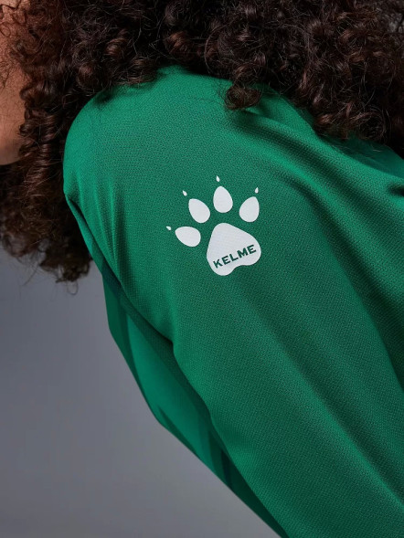 Вратарская форма KELME Long Sleeve Goalkeeper Suit Green