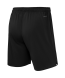Шорты вратарские JOGELPerFormDRY National 26 GK Shorts, черный
