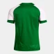Футболка JOMA HISPA V  