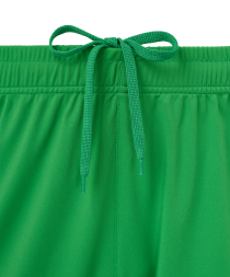 Шорты вратарские JOGEL PerFormDRY National 26 GK Shorts, зеленый