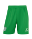 Шорты вратарские JOGEL PerFormDRY National 26 GK Shorts, зеленый