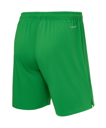Шорты вратарские JOGEL PerFormDRY National 26 GK Shorts, зеленый