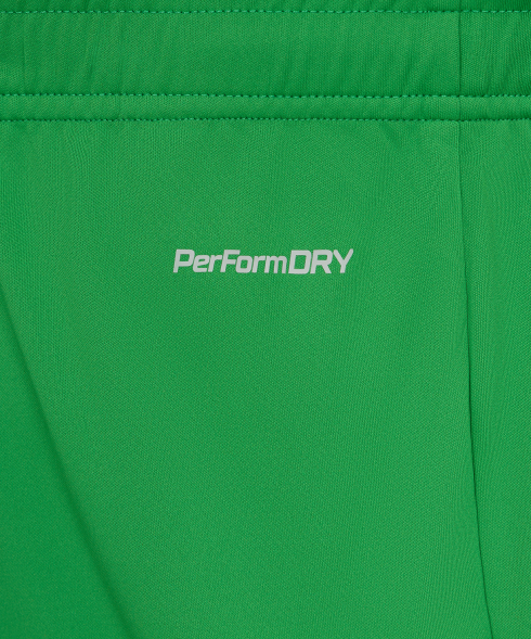 Шорты вратарские JOGEL PerFormDRY National 26 GK Shorts, зеленый