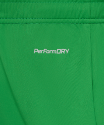 Шорты вратарские JOGEL PerFormDRY National 26 GK Shorts, зеленый