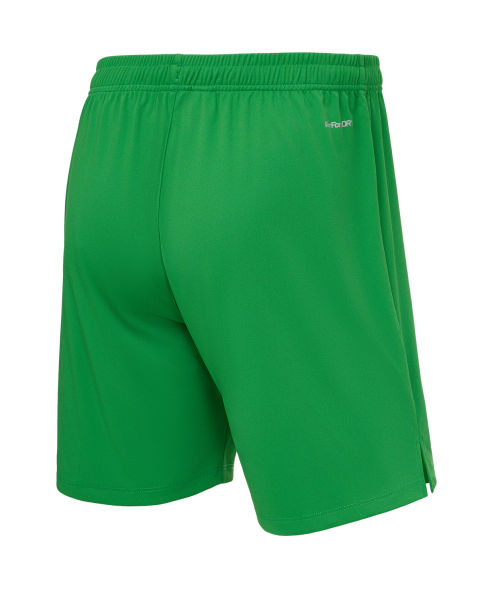 Шорты вратарские JOGEL PerFormDRY National 26 GK Shorts, зеленый