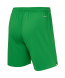 Шорты вратарские JOGEL PerFormDRY National 26 GK Shorts, зеленый