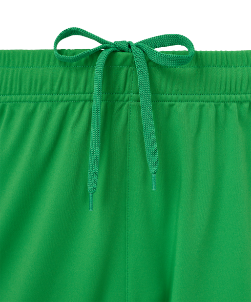 Шорты вратарские JOGEL PerFormDRY National 26 GK Shorts, зеленый