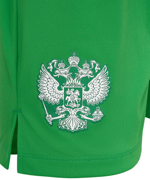 Шорты вратарские JOGEL PerFormDRY National 26 GK Shorts, зеленый