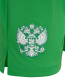 Шорты вратарские JOGEL PerFormDRY National 26 GK Shorts, зеленый