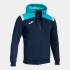 Толстовка JOMA TOLEDO 103737.342