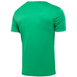 Футболка футбольная JÖGEL CAMP Origin, зеленый/белый