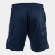 Шорты JOMA PERFORMANCE