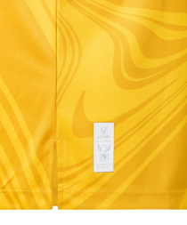 Футболка вратарская JOGEL PerFormDRY National 26 GK Jersey, желтый