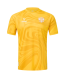 Футболка вратарская JOGEL PerFormDRY National 26 GK Jersey, желтый