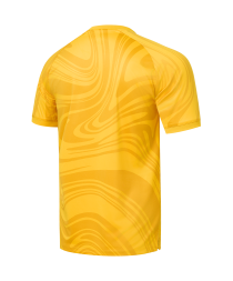 Футболка вратарская JOGEL PerFormDRY National 26 GK Jersey, желтый