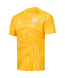 Футболка вратарская JOGEL PerFormDRY National 26 GK Jersey, желтый
