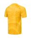 Футболка вратарская JOGEL PerFormDRY National 26 GK Jersey, желтый