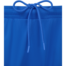 Шорты баскетбольные JÖGEL DIVISION PerFormDRY Shorts Z2, синий