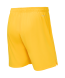 Шорты вратарские JOGELPerFormDRY National 26 GK Shorts, желтый